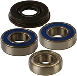 Balls 2001 Summit 600 Ski-doo Chain Case Bearing & Seal Kit 14-1018. Fixed Price $86.45.