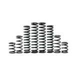 Zbroz Dual Rate Spring Kit Kaw K30-KA1001-0. Fixed Price $875.95.