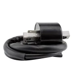 Ignition Coil For Polaris Xplorer Worker Sportsman 500 1996-2008 # 3085227. Fixed Price $33.49.