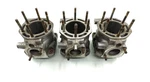 1993-1994 Polaris Storm 800 Oem Ported & Resleeved Cylinder Jugs ( 72.25MM). Fixed Price $499.95.