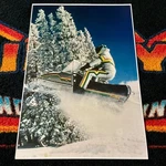 79 John Deere Trailfire Snowmobile Action Poster Vintage Sled (launch Mode.). Fixed Price $21.88.