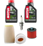 Yamaha Raptor 700 Oil Change Tune Up Kit Air Filter Spark Plugs Ngk Motul. Fixed Price $72.43.