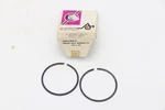 Nos Oem Arctic Cat Rings 3001-027. Fixed Price $50.00.