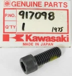 Nos Genuine Kawasaki Sb 340 440 Snowmobile 3/8-16X2.00 Screw Bolt Oem New. Fixed Price $9.82.