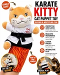 Karate Kitty Toy Puppet Arm Sleeve Interactive Catnip Wrestling. Fixed Price $19.99.