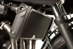 R&g Radiator Guard Compatible For Suzuki Bandit 650 2013 Black RAD0110BK. Fixed Price $91.46.