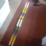 Fischer Rcs Plus Skating Ski's 185 Cm , Salomon Sns Profil Bindings. Fixed Price $70.00.