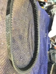 Dayco Belt TMX1062. Fixed Price $36.39.