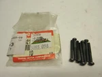 1977 Arctic Cat Kitty Stator Screws New Nos Oem Pack 3003-098. Fixed Price $11.16.