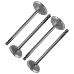 2X Intake Exhaust Valve For Arctic Cat 0809-228 0809-039 0809-229 0809-040. Fixed Price $39.99.