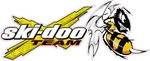 Team Ski-doo Killer Bee Decal 12" In Size. Fixed Price $13.95.